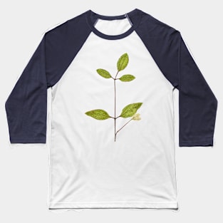 Clematis terniflora var. mandshurica	Manchurian clematis Baseball T-Shirt